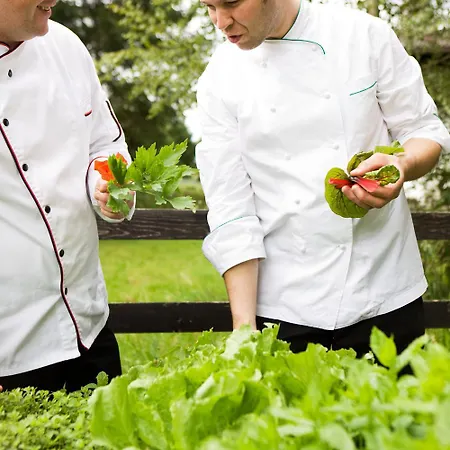 Minglers Sportalm - Gourmet- Und Geniesserhotel 酒店 蒂罗尔-基希贝格