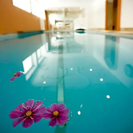 Hotel Geniesserhotel Minglers Sportalm 4 Sterne Superior 4*